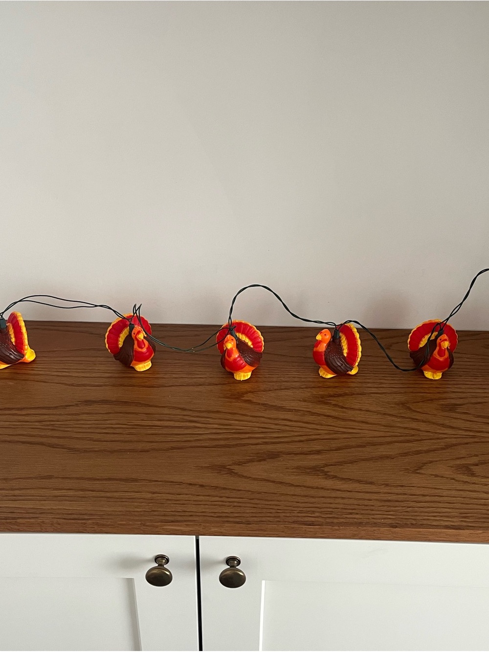 Vintage Turkey blow mold lights